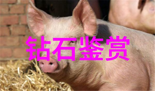 钻石巨擘全球最大钻石公司