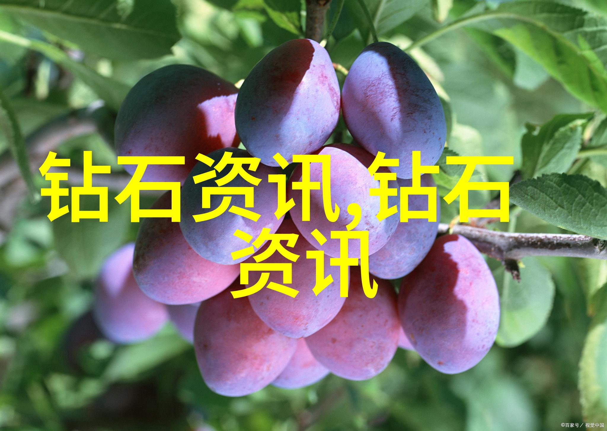 工艺品手工的艺术探究如何将材料转化为艺术作品