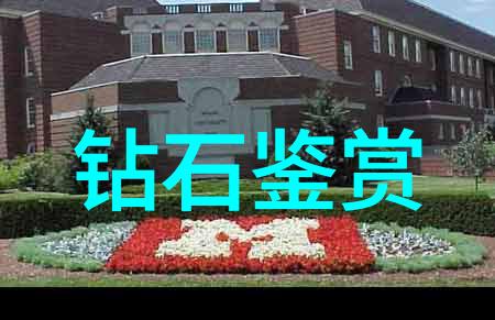 撕裂人国语我在这个世界的边缘撕裂人国语的叹息