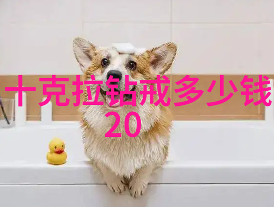 翡翠玉手镯收藏沉鱼落雁之色轻抚指尖透出天然清透光泽
