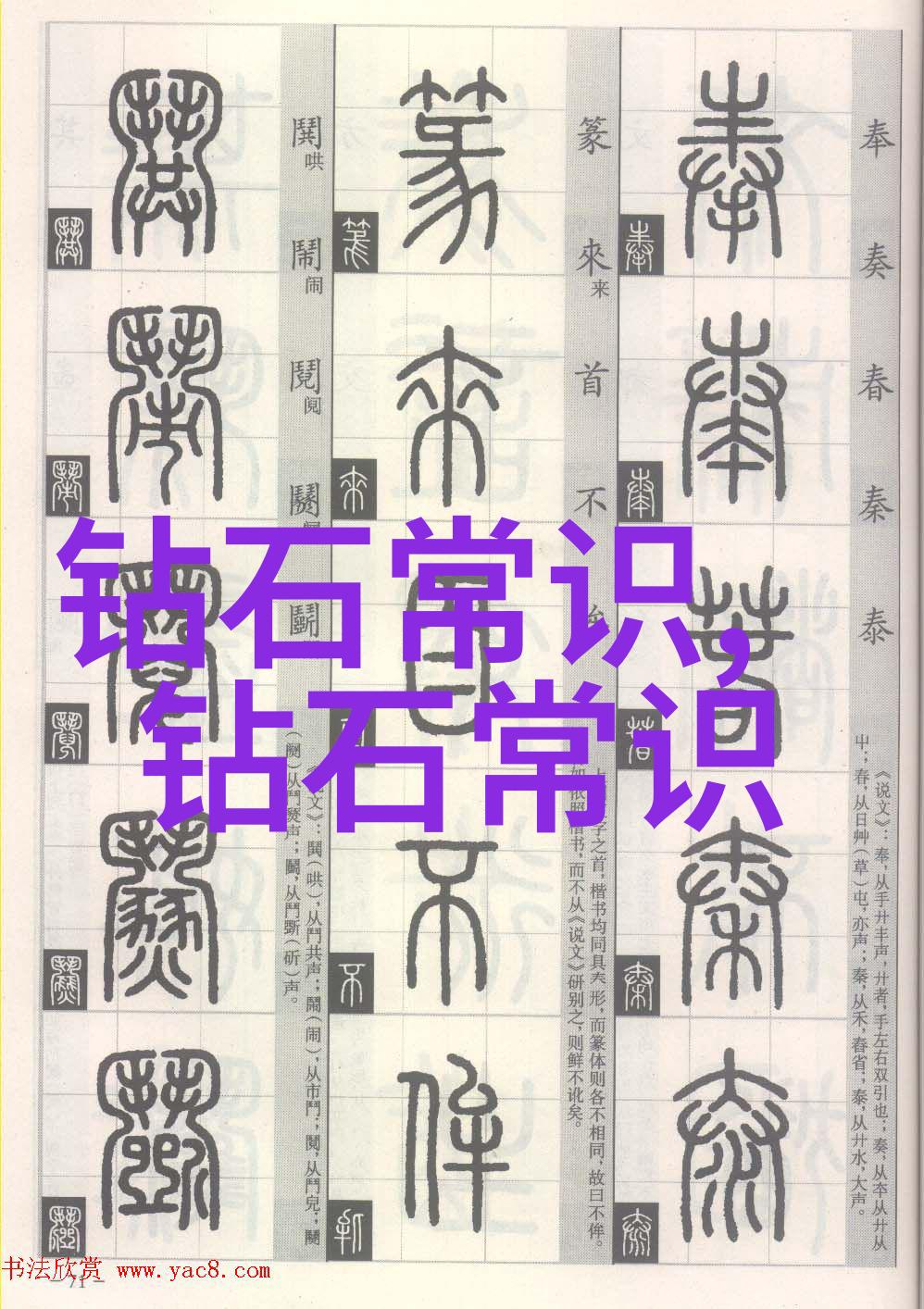 名字里的故事揭秘我们名字背后的秘密