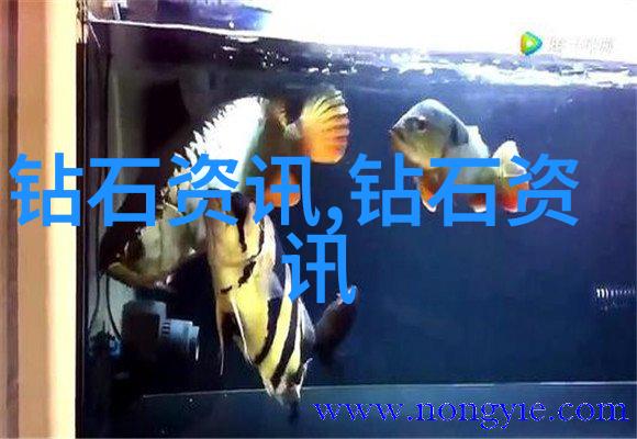 玉镯鉴别艺术如何精准识别玉制手饰