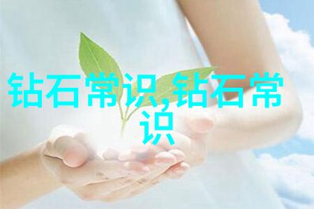透光观察法揭示隐藏在表面的真相