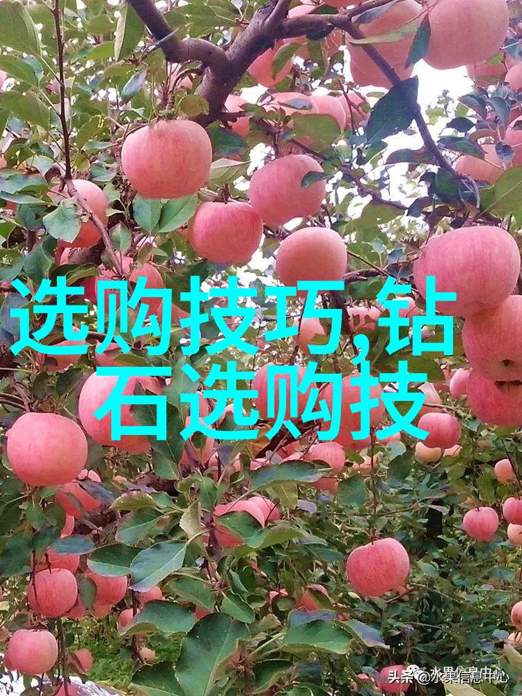 审计专业深度解析精准财务审计企业内部控制评估风险管理咨询