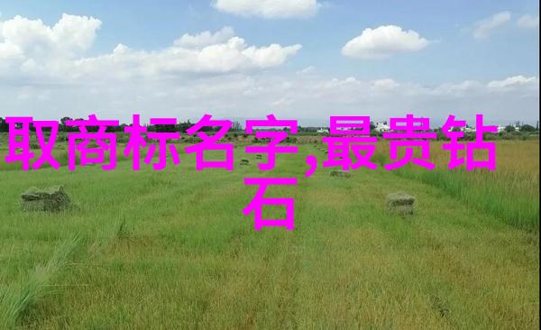 工艺流程图解析揭秘生产线之心脏