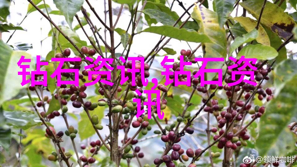 商海巨轮的秘密