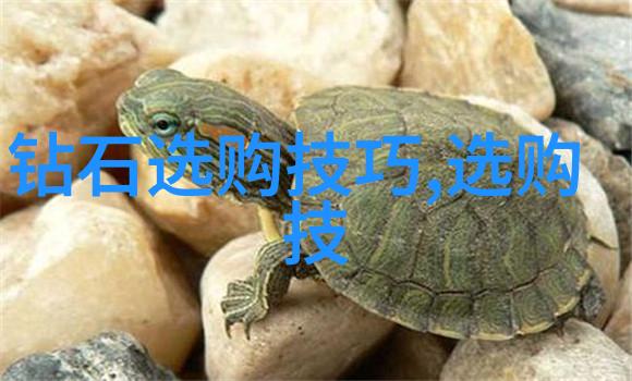 品鉴与鉴赏的辨识之谜究竟哪个更能洞悉佳酿