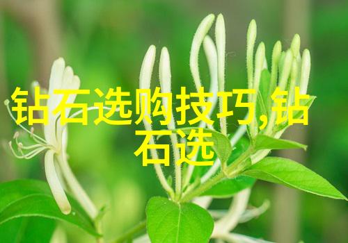 爱的钻石定制钻戒记下情感的每一刻
