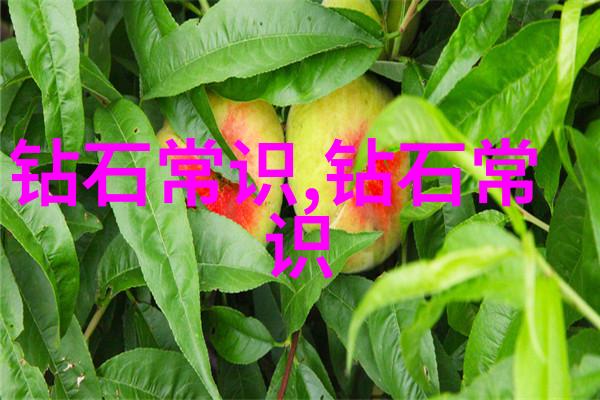 大学排行榜我眼中的最棒大学TOP10