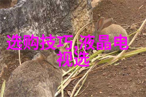 绘影成趣的秘密揭开工艺美术品背后的神秘故事