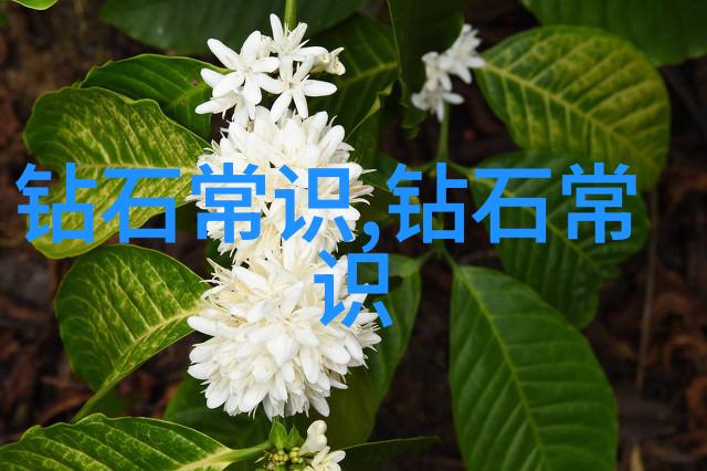 质量控制在内安全第一提升加工工艺流程质量