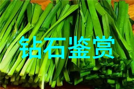小马过河牧童与智慧的对话
