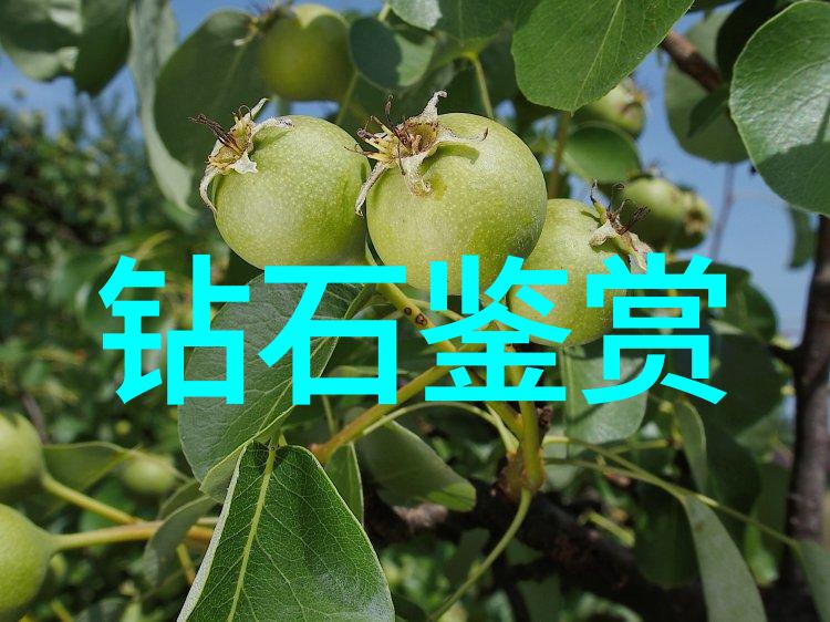 隐秘的防线安全工程背后的危机