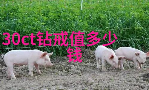 中国钻石三大奇迹山东的闪耀女神江苏的璀璨美人四川的光芒王子