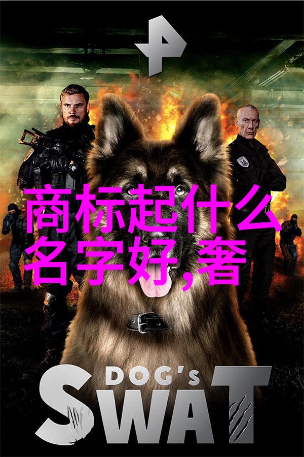 如何在家中巧妙运用彩色玻璃提升室内装饰效果