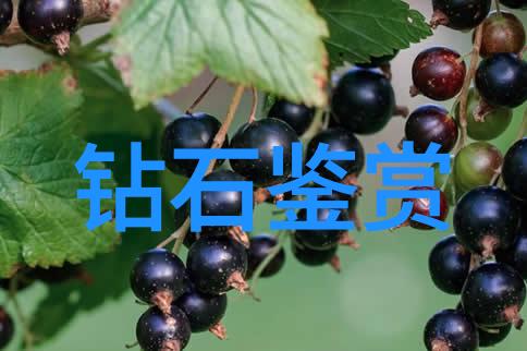 水晶文化探秘透明梦想的璀璨篇章