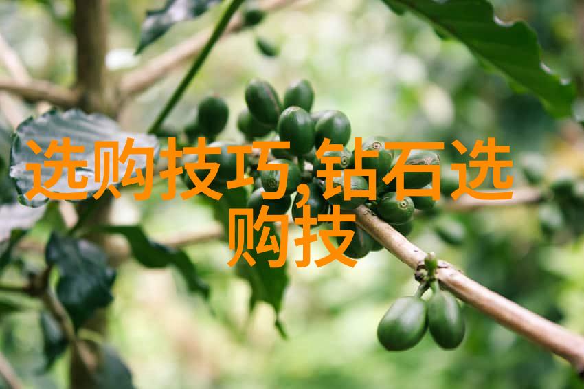 婚礼故事-三位佳人共享一锅烩大团圆的幸福婚礼