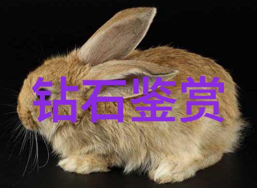 工艺品包括陶瓷艺术金属雕刻织品制作木制家具纸艺作品等多种形式