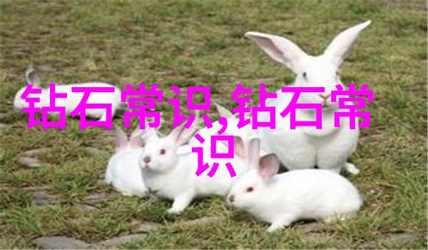 下厨房TXL金银花烹饪探索
