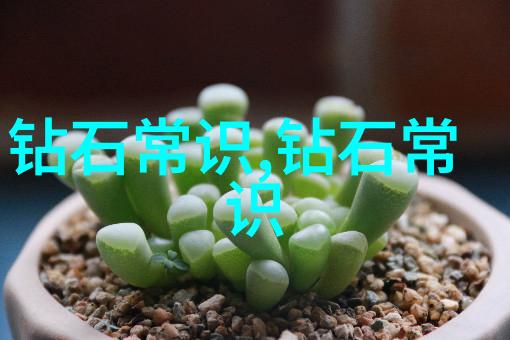 家居行业新趋势智能化与可持续生活方式的未来发展