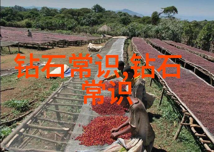 传统节日对中国文化有何意义