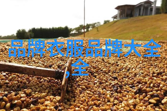 还珠格格野传中国古装宫廷剧