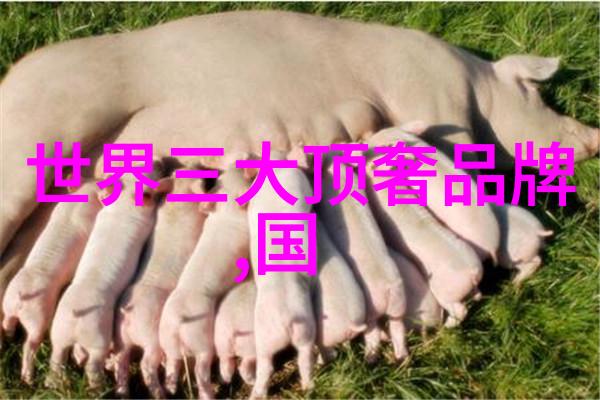 中国玉石宝库揭秘几大璀璨名种