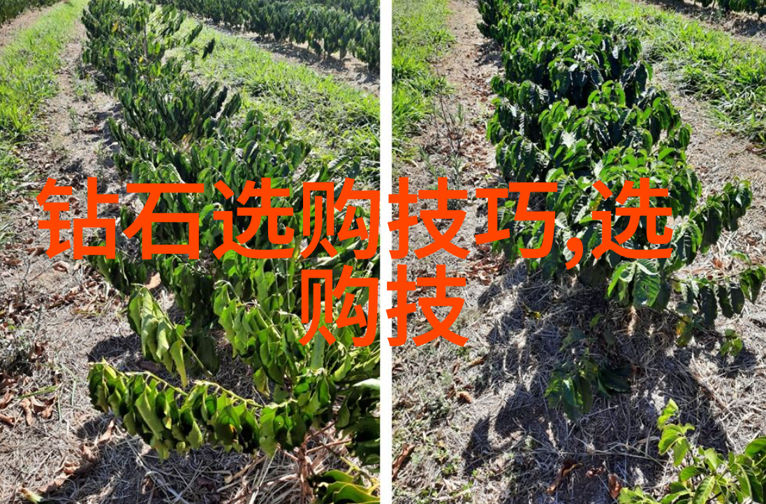 工艺美术品设计精致手工艺品的艺术表达