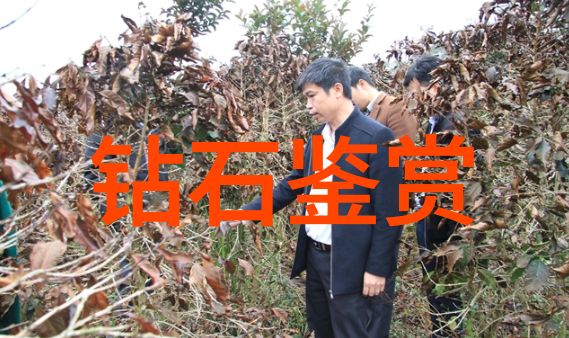 机加工艺术剖析铣削车削锥磨等关键工艺