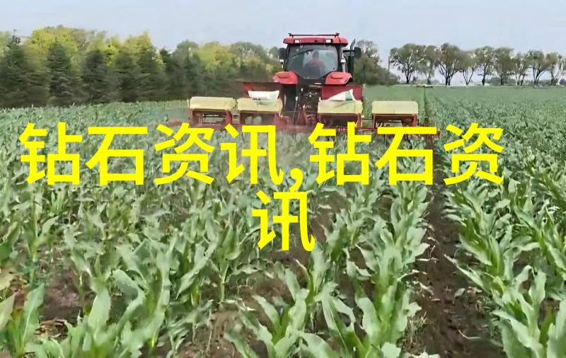 工艺美术的精髓工艺美术的艺术表现与技术创新