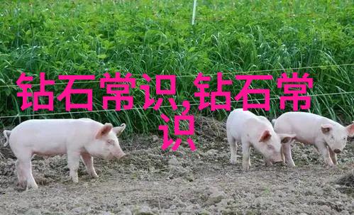 创意之手探索动画师的艺术世界