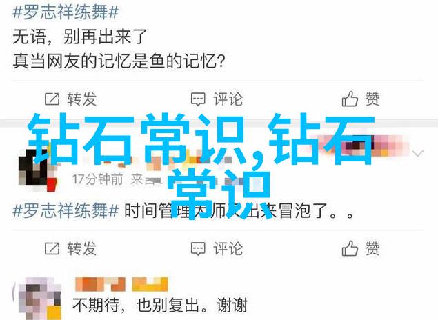 文明与文化的交响篇章和声与旋律的对话