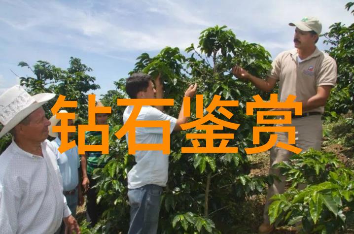工艺流程卡的幽默星球笑容与零缺陷共舞