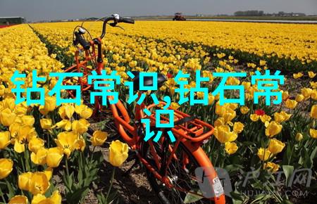 宝庆银楼我的秘密花园