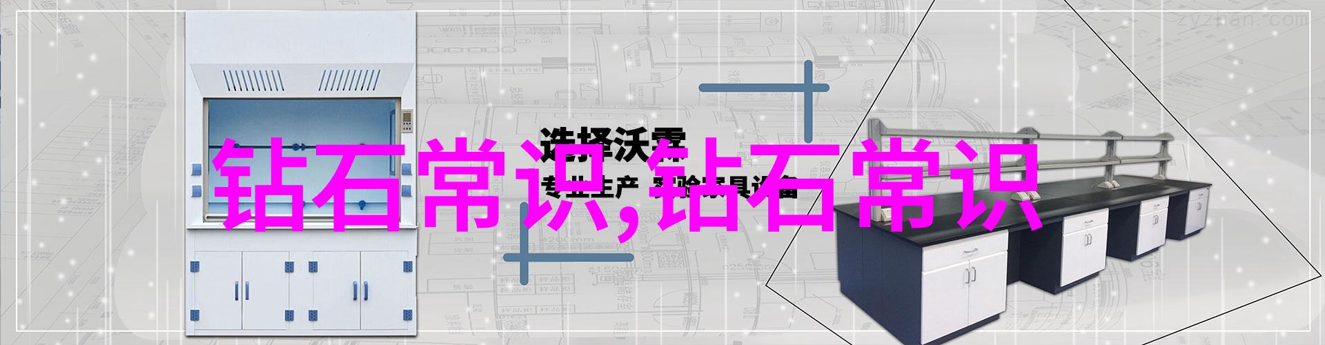 女性学研究探索女性身份与角色