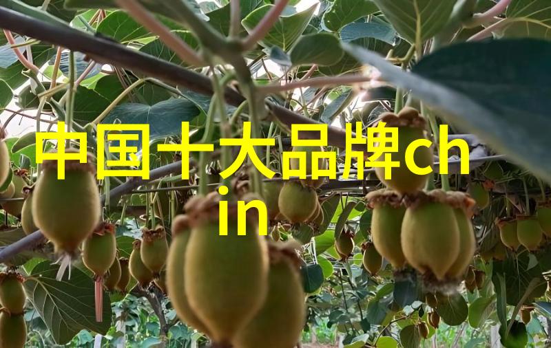 钻石鉴赏与投资如何评估钻石的价值