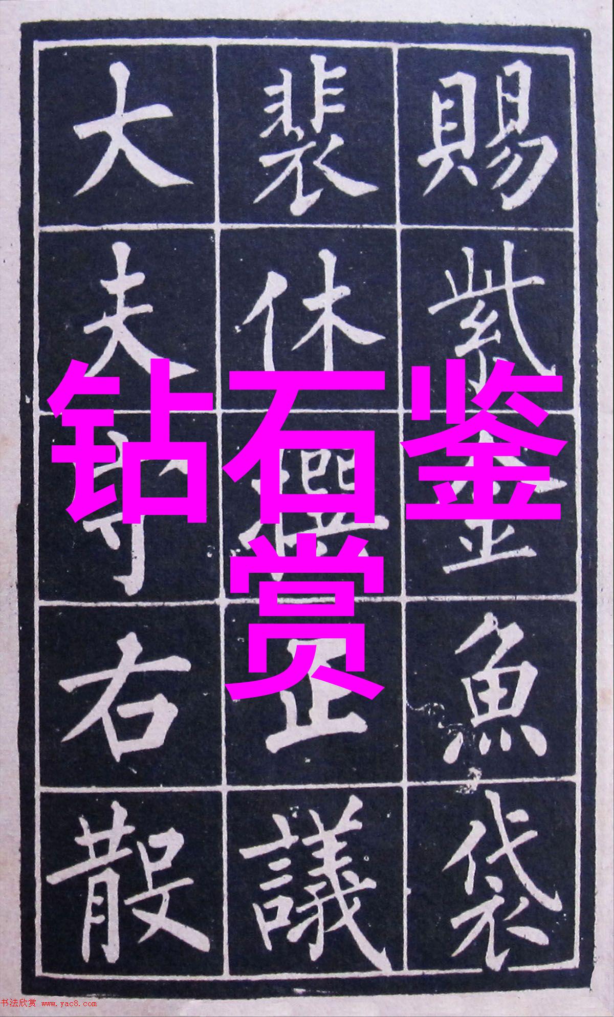 水族箱中的奇幻世界