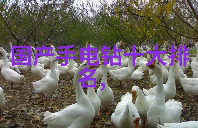 宝石有哪些种类璀璨世界的无尽奇迹