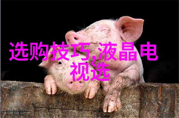 审计专业深度解析财务审计内部控制评估会计信息系统