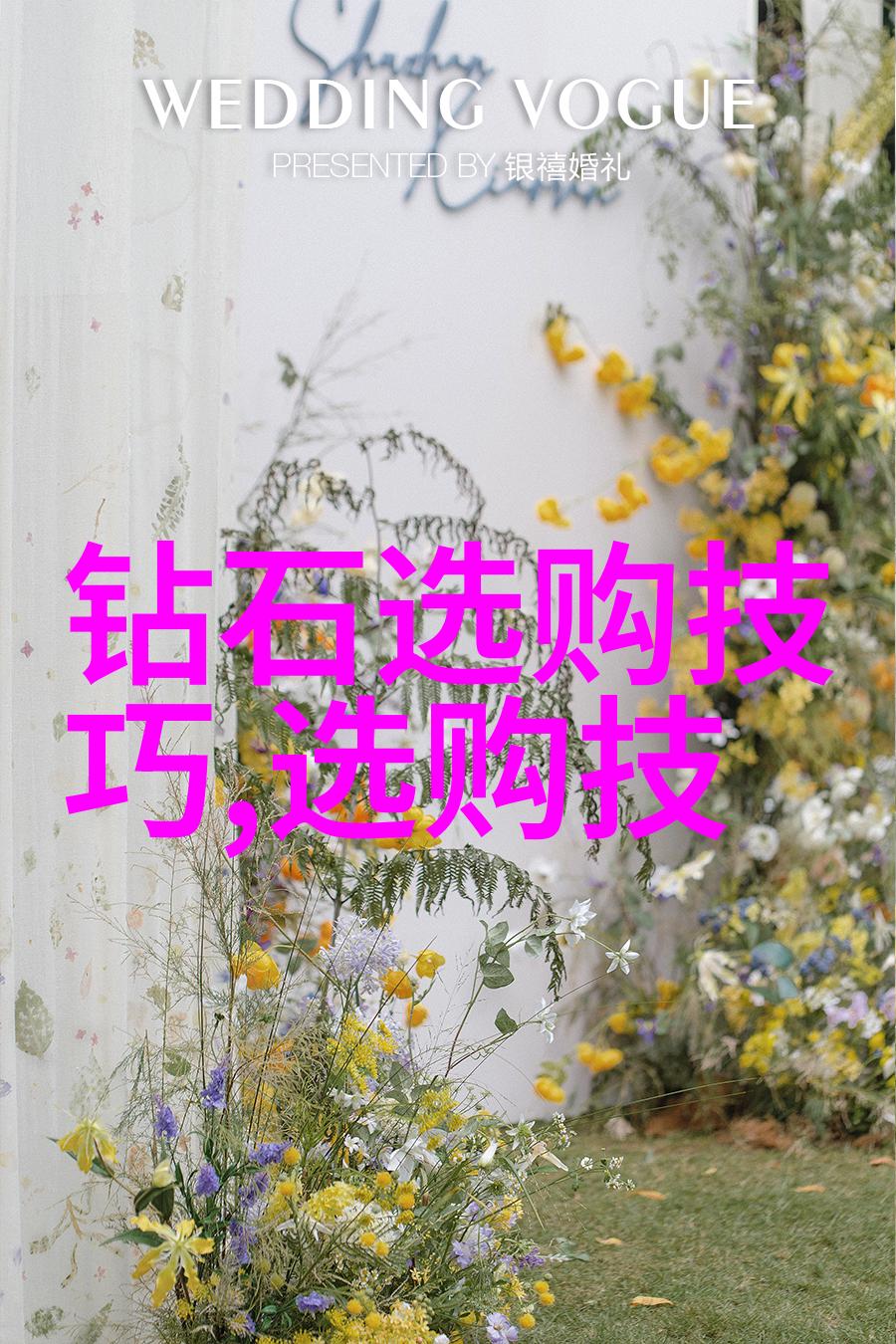 古玩世家玉石神秘面纱