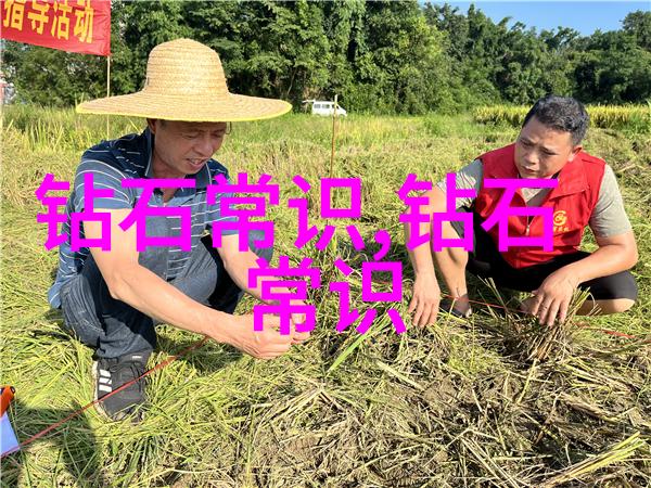 新一代抗癫痫药物研发进展突破性疗法引领未来医疗健康趋势