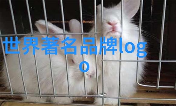 世界钻石宝座揭秘顶级璀璨之冠