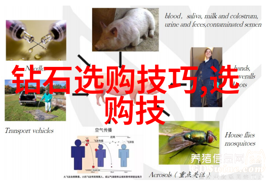 对于珠宝你是怎么理解的我觉得它不仅仅是一件物品更是一种情感的寄托