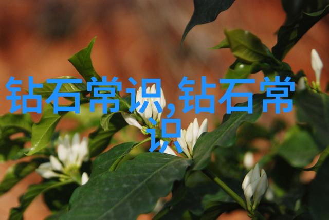 我是如何了解a类翡翠市场价的跟着行话走揭秘a类翡翠的真实市场价