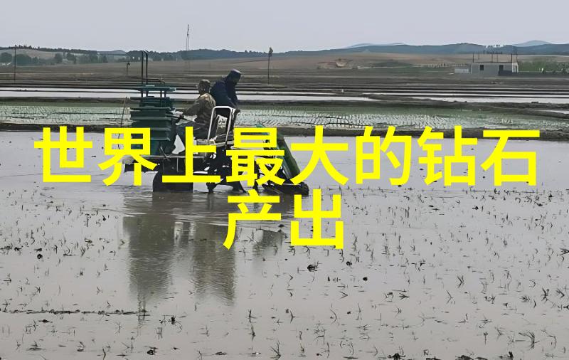 古诗词中的哲理蕴含了哪些关于人生自然与社会的深刻见解