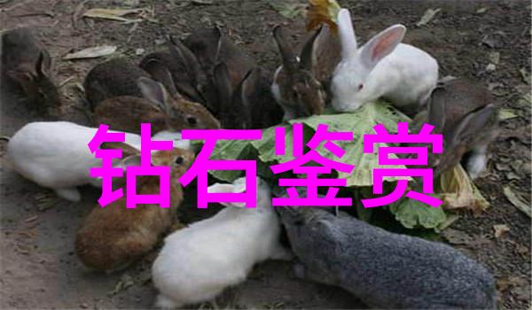 宝石界的豪门揭秘价值上亿的玉石传奇