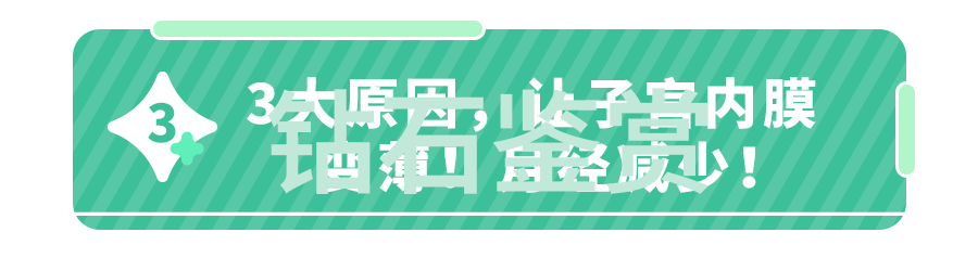 文化的多元面貌-探索文化传统艺术与价值观