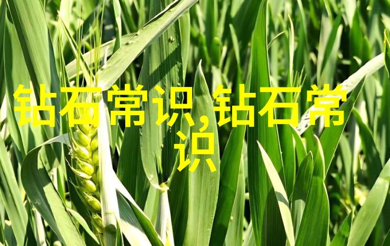 囚宠傅渝探索人性与动物世界的深度