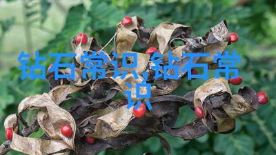 宝石与材料工艺学的奇迹从原矿到珠宝的艺术探索