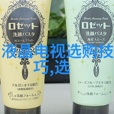 在星际航行中寻找生命密斯凡德罗的一生研究